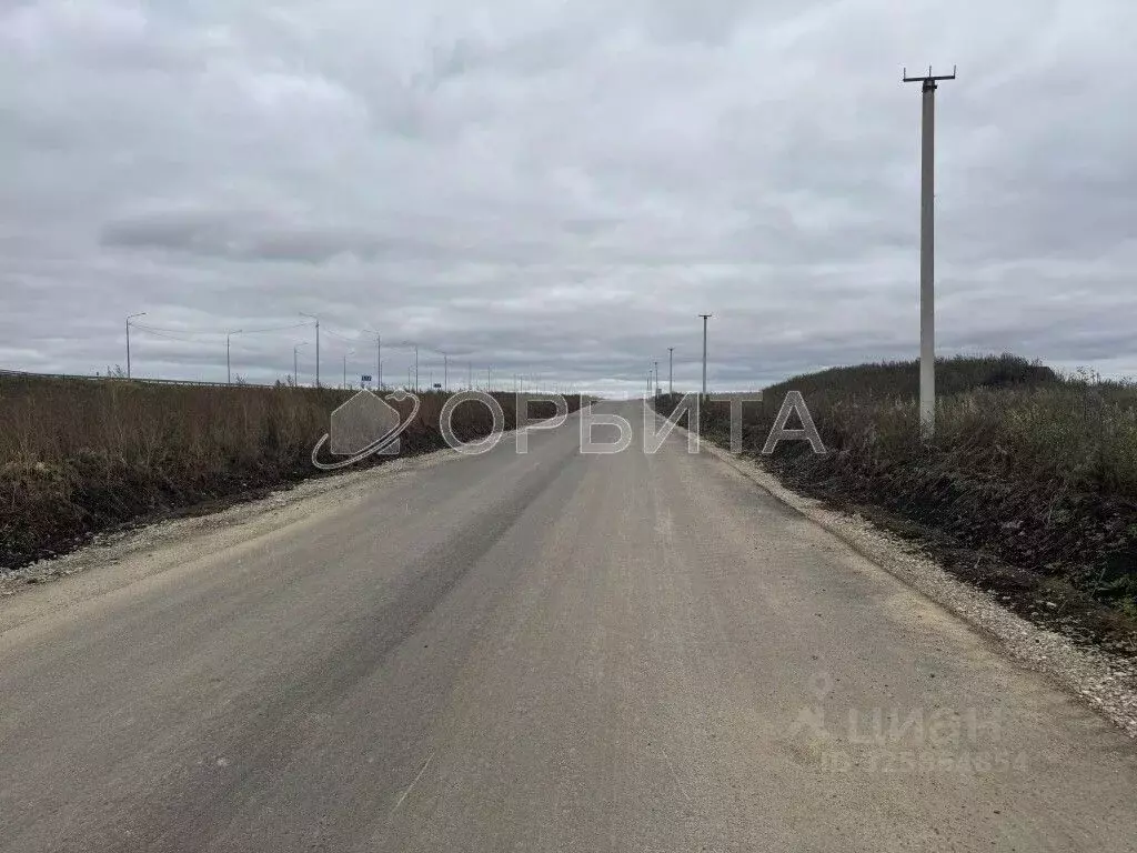 Участок в Тюменская область, Тюменский муниципальный округ, с. ... - Фото 1