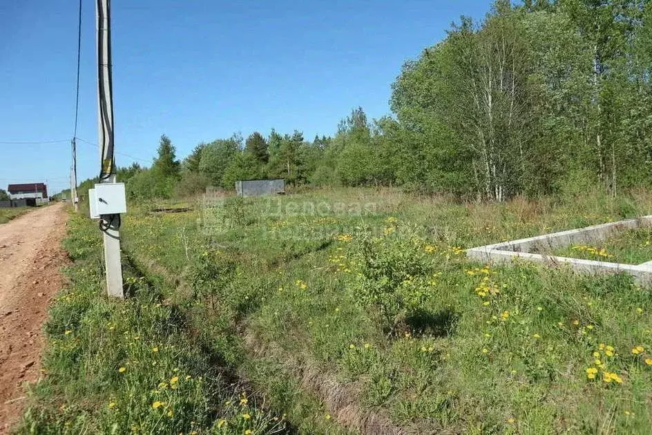 Участок в Новгородская область, Новгородский район, Бронницкое с/пос, ... - Фото 1