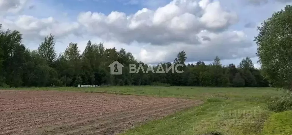 Участок, 47900 сот., сельхоз (снт или днп) - Фото 2