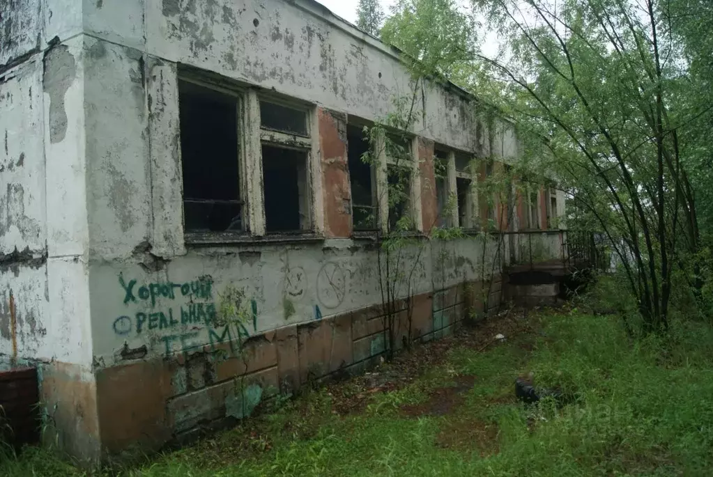 Участок в Амурская область, Тындинский муниципальный округ, с. ... - Фото 2