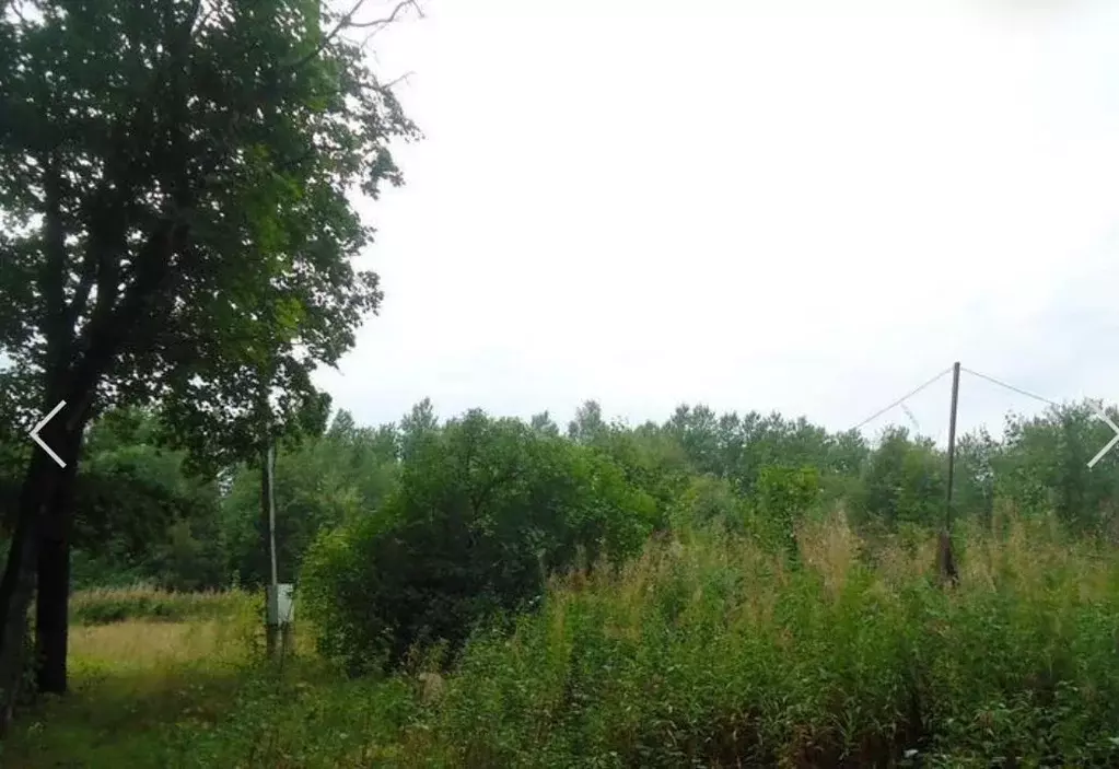 Участок в Санкт-Петербург пос. Солнечное, ул. Лесная, 24Б (19.0 га.) - Фото 1