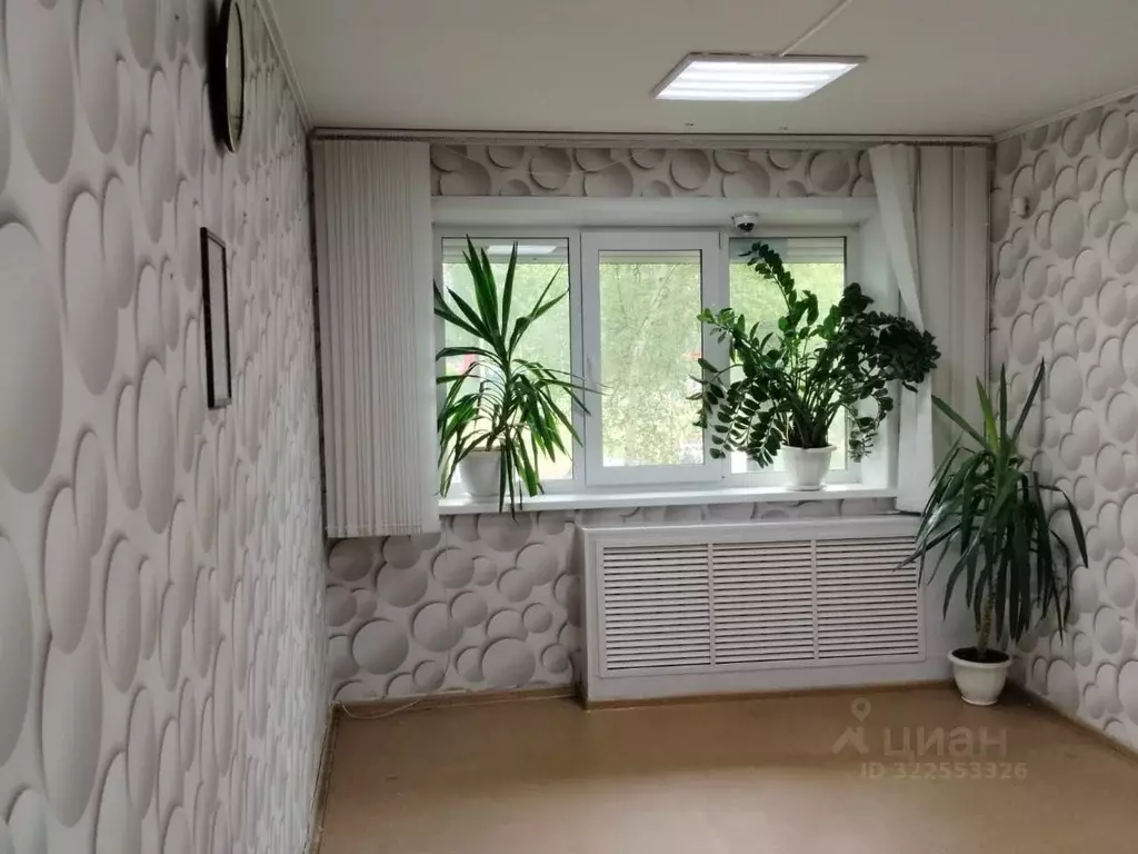 Офис в Иркутская область, Братск ул. Обручева, 22 (48 м) - Фото 2