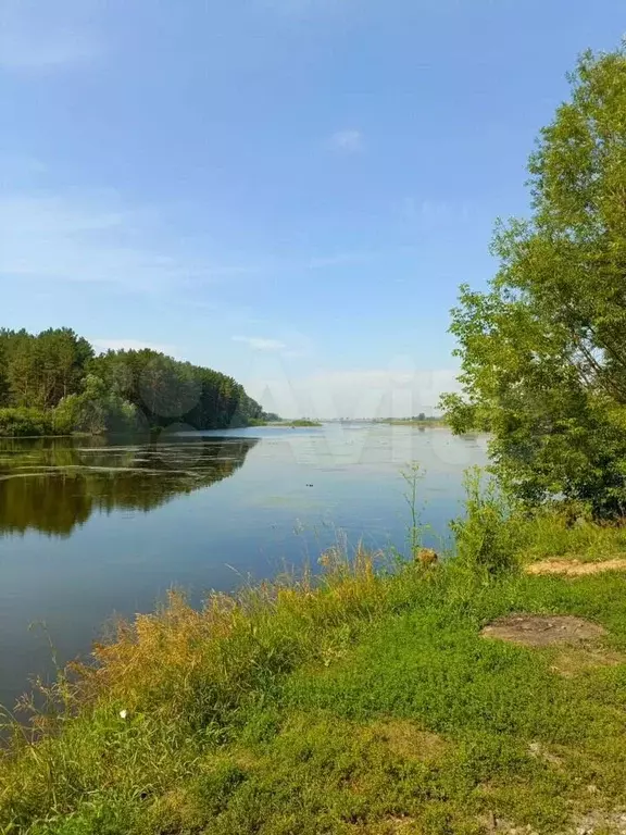 Дача 60 м на участке 7,3 сот. - Фото 0