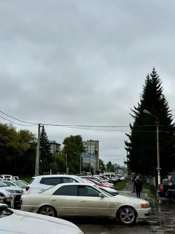 Офис в Новосибирская область, Бердск ул. Ленина, 89/15 (52 м) - Фото 2