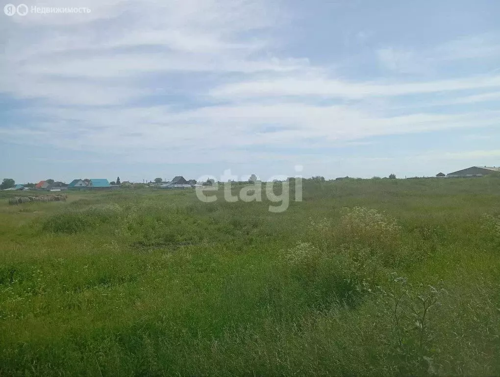 Участок в Исетский район, село Шорохово (15.35 м) - Фото 0