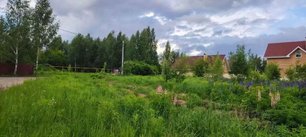 Участок в Нижегородская область, Нижний Новгород городской округ, д. ... - Фото 2