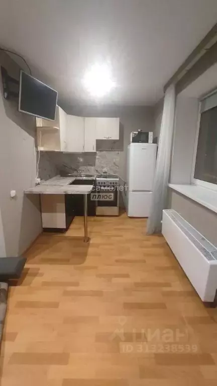 Студия Челябинская область, Красноармейский муниципальный округ, с. ... - Фото 0