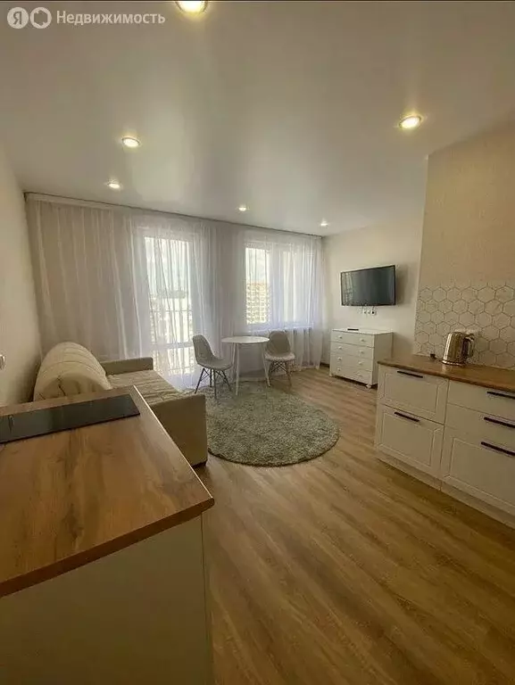 Квартира-студия: деревня Патрушева, улица Александра Пушкина, 14 (26.4 ... - Фото 2