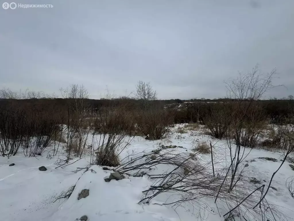 Участок в село Воздвиженка, улица Пушкина, 9 (9.9 м) - Фото 1