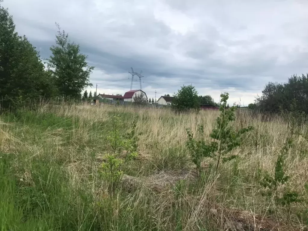 Участок в Владимирская область, Кольчугинский район, Ильинское ... - Фото 1