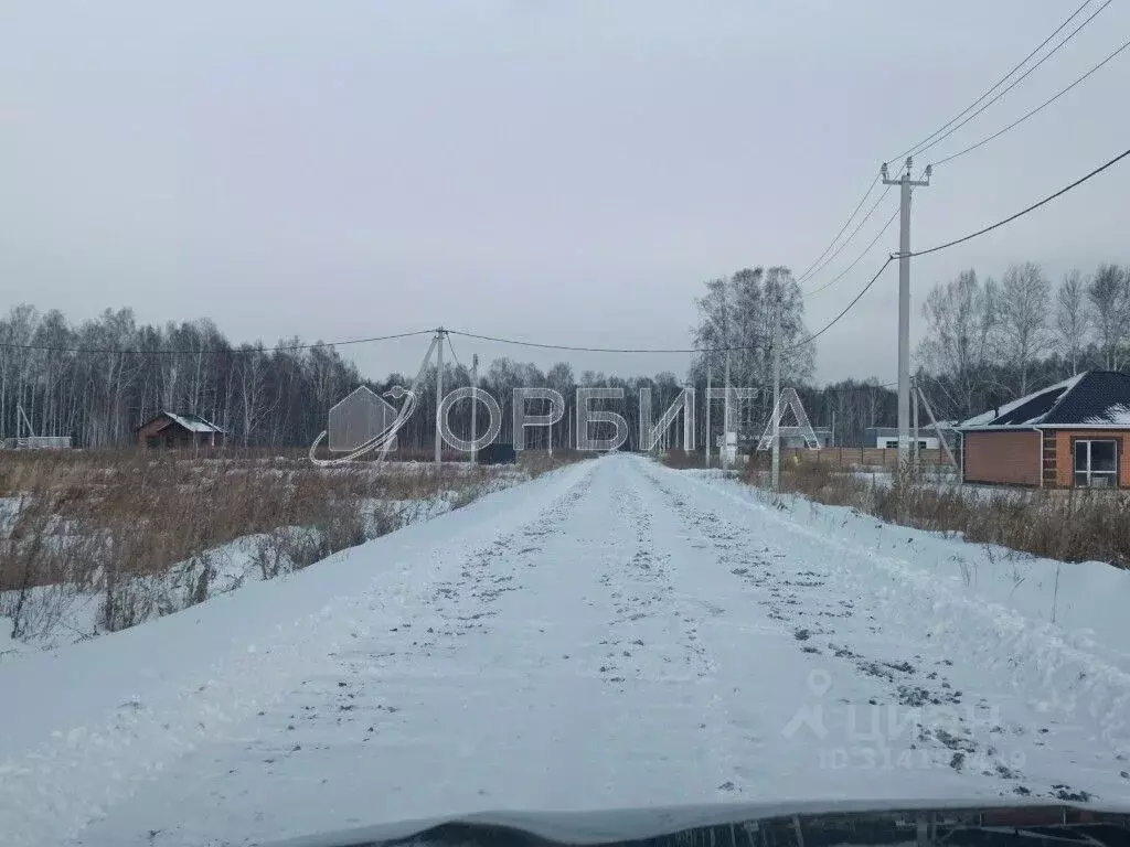 Участок в Тюменская область, Тюменский район, Новокаменский кп ул. ... - Фото 1