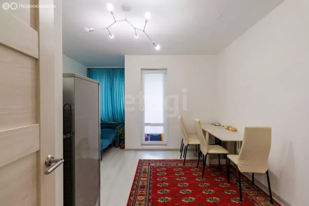 Квартира-студия: Санкт-Петербург, проспект Будённого, 21к1 (25 м) - Фото 1