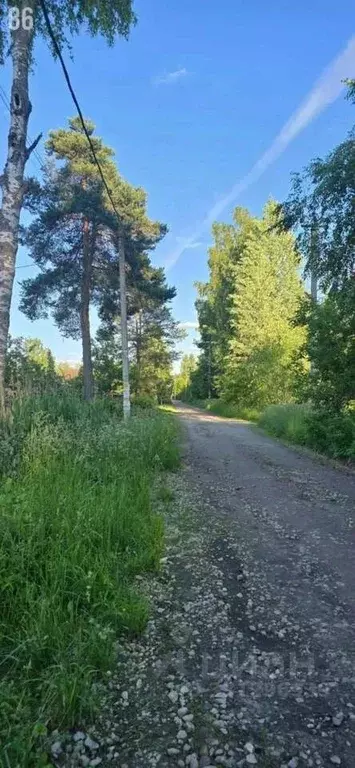 Дом в Ленинградская область, Гатчинский муниципальный округ, Вырица ... - Фото 2