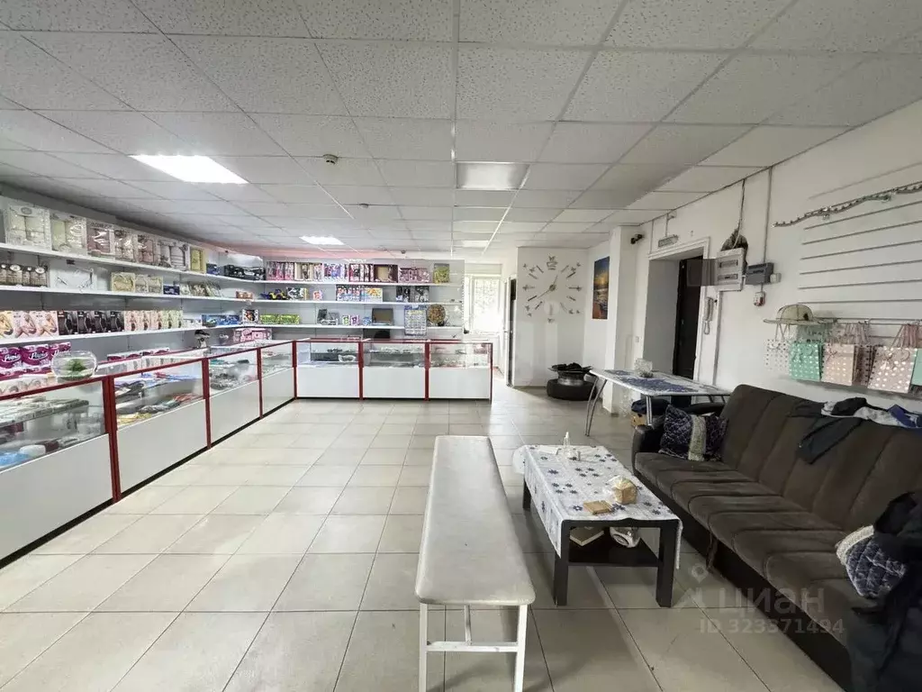 Помещение свободного назначения в Северная Осетия, Владикавказ ул. ... - Фото 2