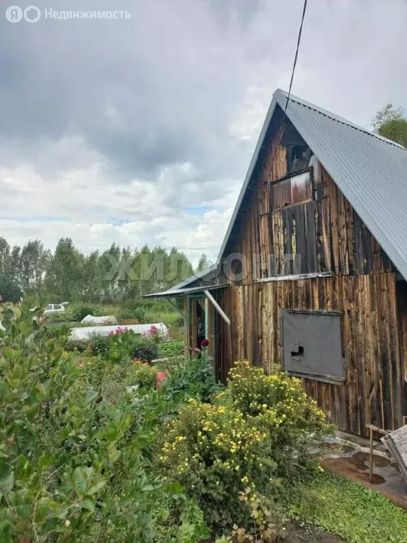 Участок в Мошковский район, СНТ Мошковское (6.48 м) - Фото 0