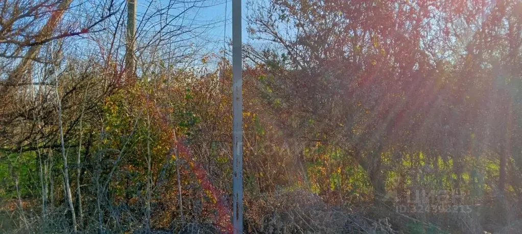 Участок в Краснодарский край, Анапа муниципальный округ, пос. ... - Фото 2