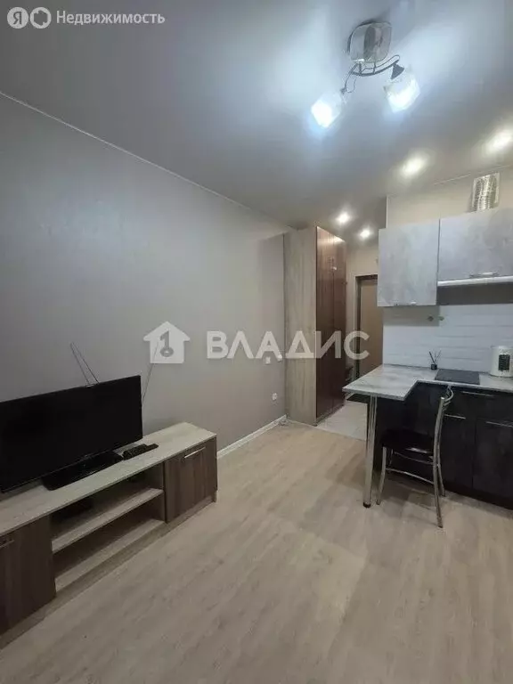 Квартира-студия: село Засечное, Светлая улица, 14 (20.6 м) - Фото 2