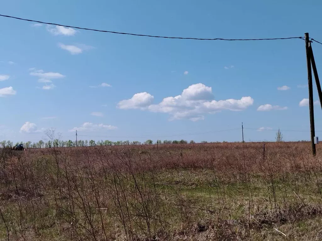 Участок в Красноярский край, Красноярск городской округ, с. Дрокино ... - Фото 2