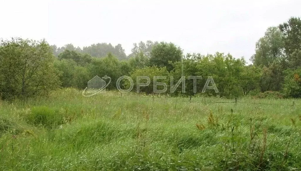 Участок в Тюменская область, Тюмень На Липовом кп, ул. Николая Егорова ... - Фото 1
