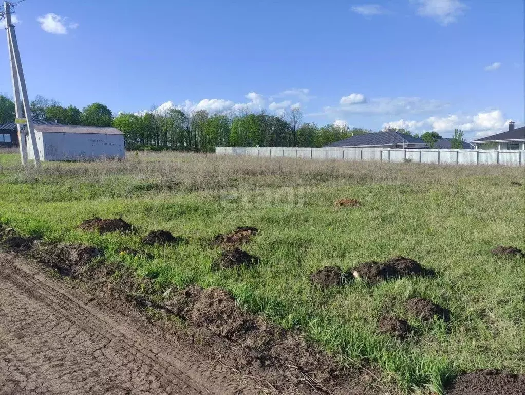 Участок в Воронежская область, Семилукский район, с. Девица, Поречье-2 ... - Фото 2