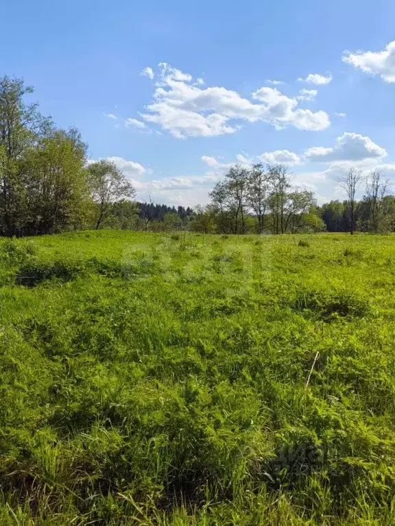 Участок в Калужская область, Боровский муниципальный округ, ... - Фото 2