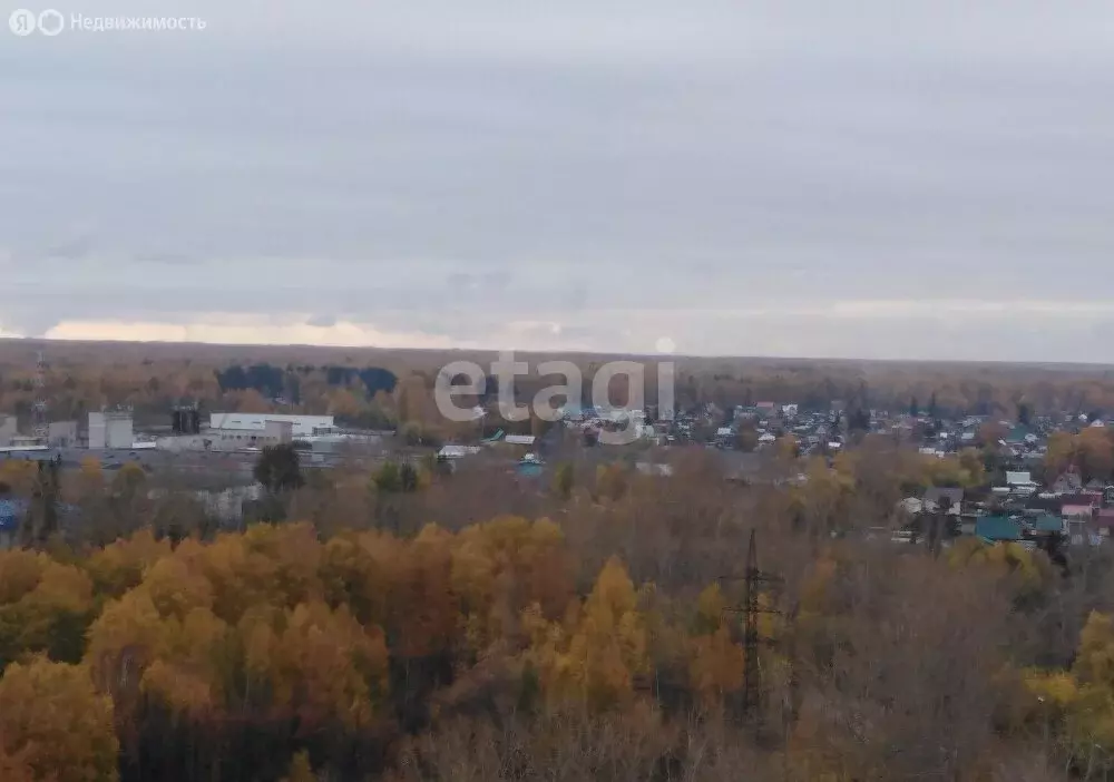Дом в Новосибирск, ДНТ Огонёк (20 м) - Фото 0