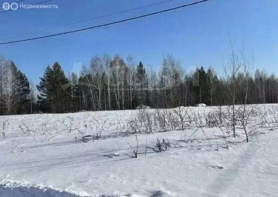 Участок в Тюменский район, деревня Большие Акияры (8 м) - Фото 1