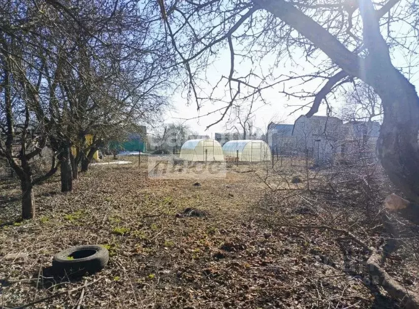 Участок в Липецкая область, Липецк Спутник СНП, 2-й массив, 9-я линия ... - Фото 1