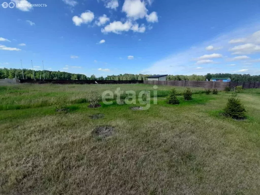 Участок в Искитимский район, село Быстровка (7.88 м) - Фото 1
