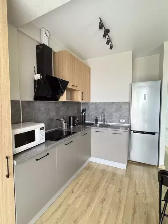 Студия Краснодарский край, Сочи городской округ, Дагомыс пгт ул. ... - Фото 1