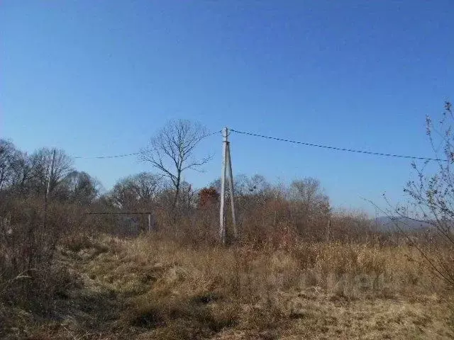 Участок в Приморский край, Партизанский муниципальный округ, с. ... - Фото 0