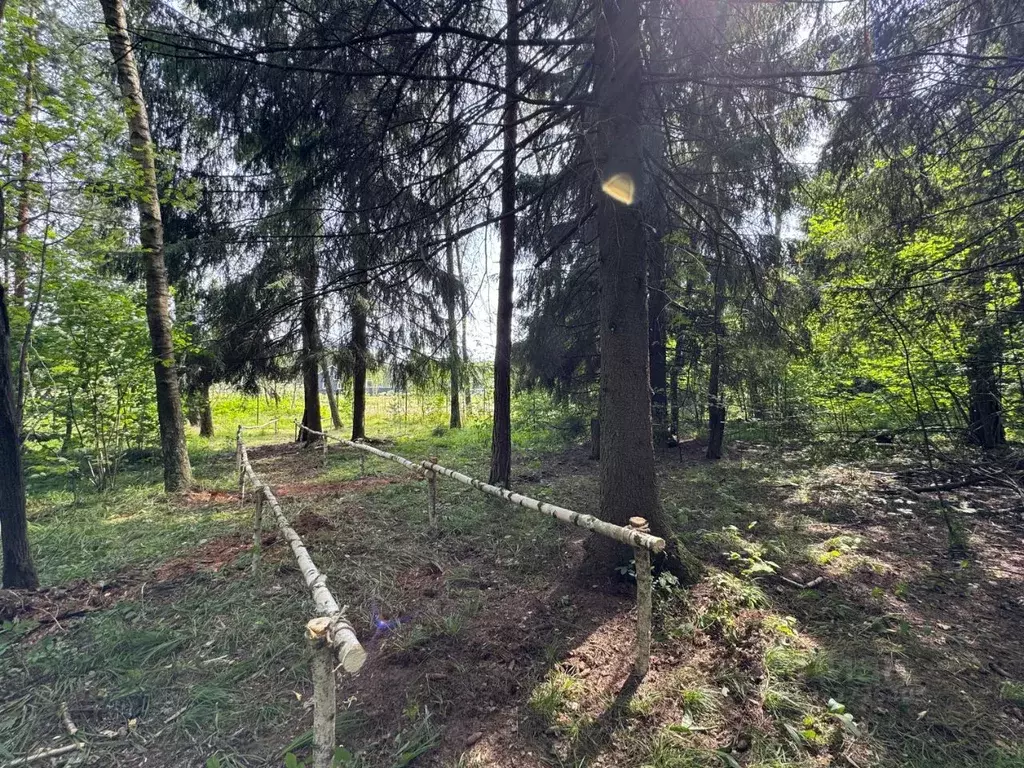 Участок в Московская область, Одинцовский городской округ, с. Ершово, ... - Фото 2