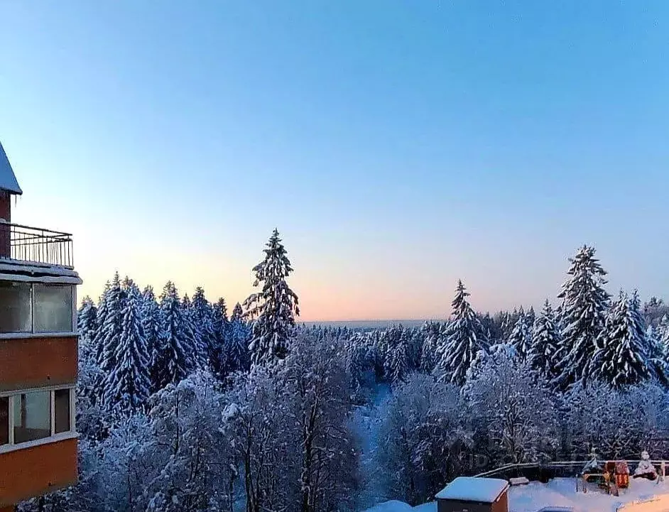 3-к кв. Ленинградская область, Всеволожский район, Токсовское ... - Фото 1