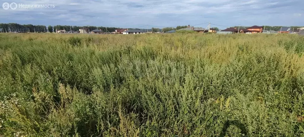 Участок в городской округ Ульяновск, село Лаишевка (5.5 м) - Фото 0