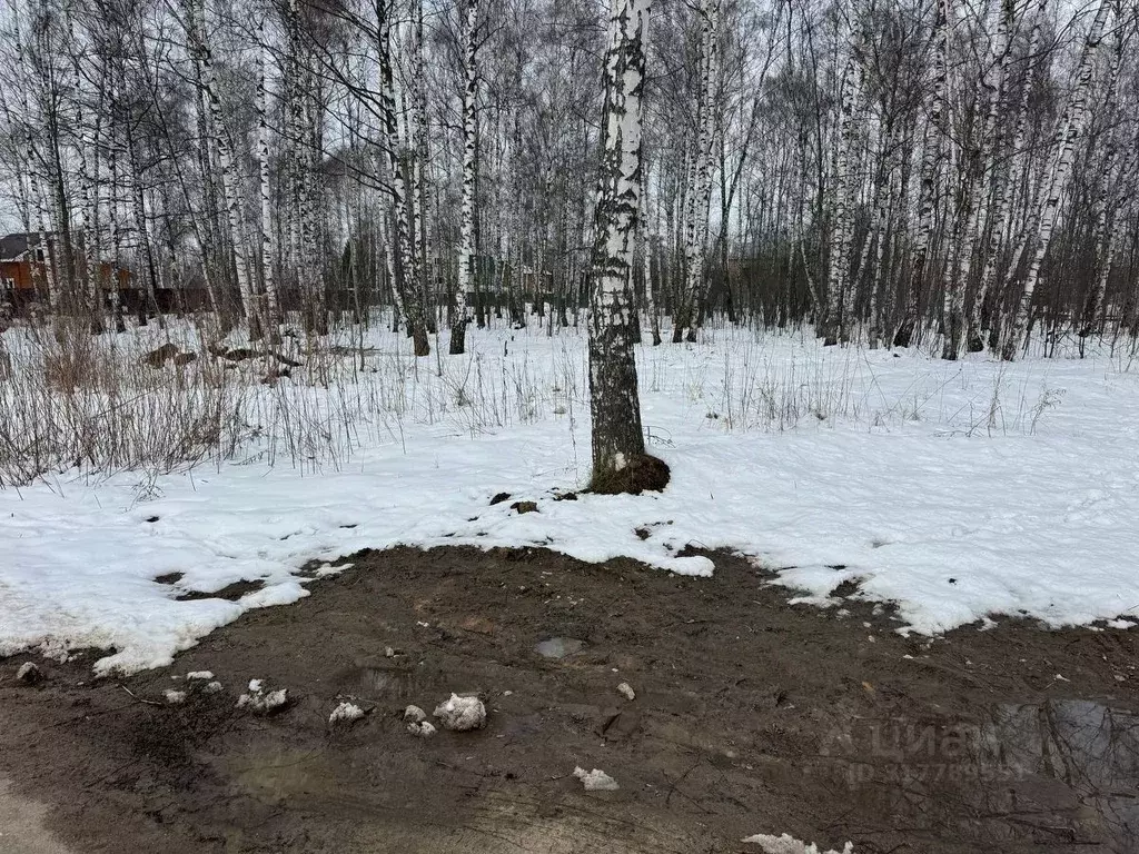 Участок в Московская область, Богородский городской округ, имени ... - Фото 1