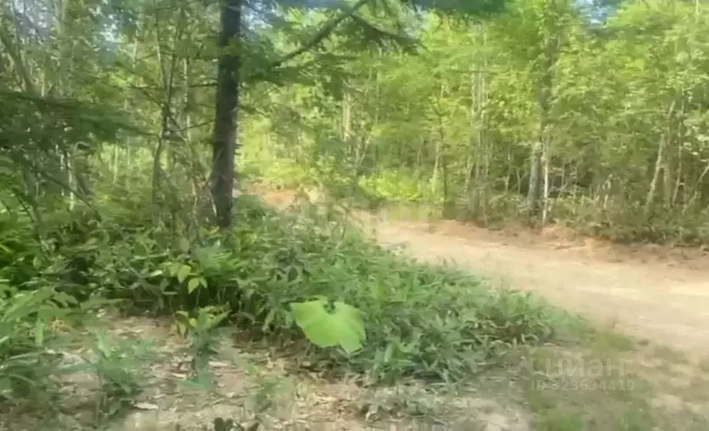 Участок в Сахалинская область, Южно-Сахалинск Восток СНТ, ул. ... - Фото 1