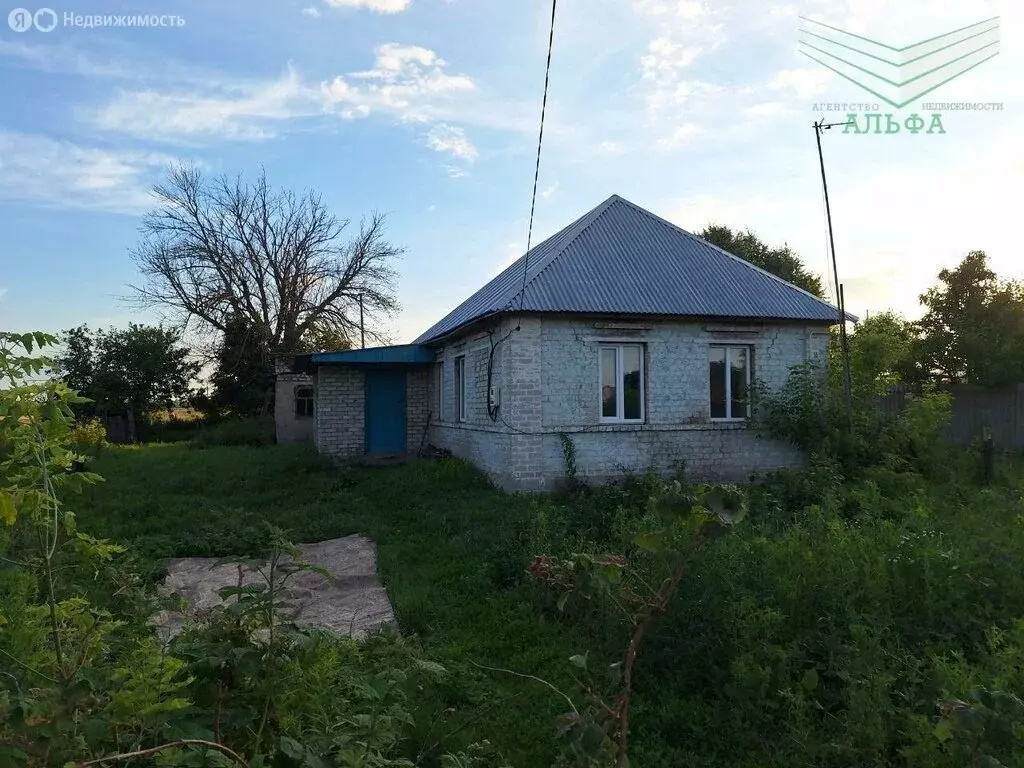 Дом в село Грязное, улица Чапаева, 55 (30 м) - Фото 1