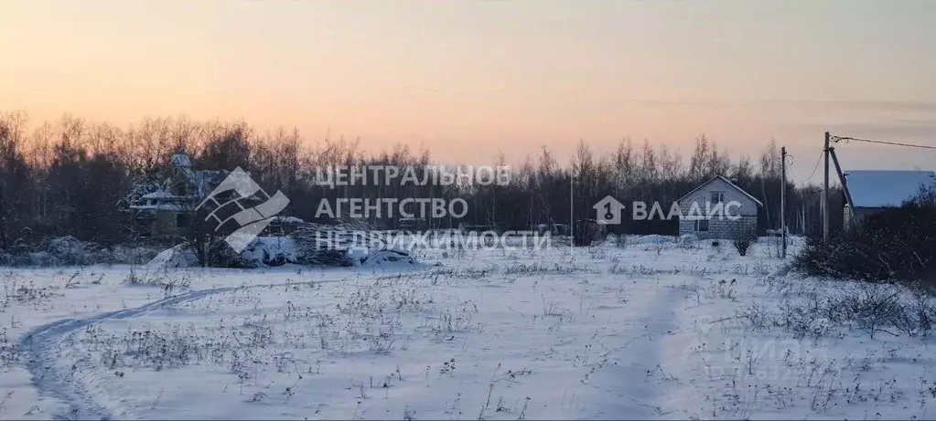 Участок в Рязанская область, Рыбновский муниципальный округ, с. ... - Фото 1