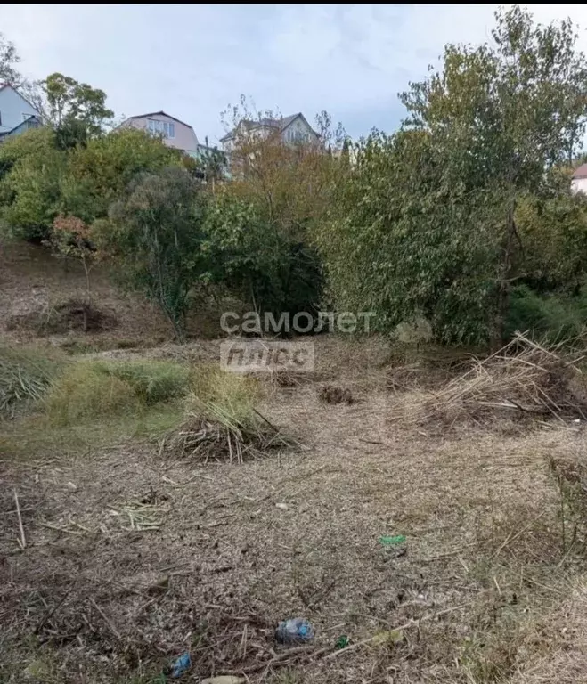 Участок в Краснодарский край, Сочи Совет-Квадже мкр, ул. Сибирская, ... - Фото 1