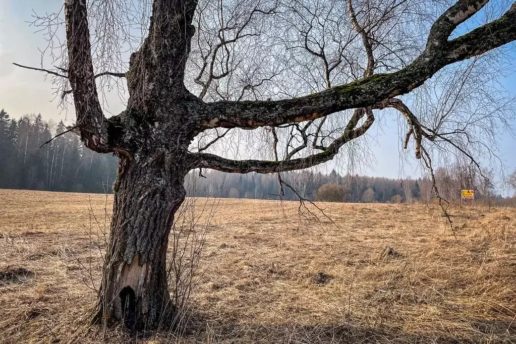 Участок, 8.8 сот., поселения (ижс) - Фото 1