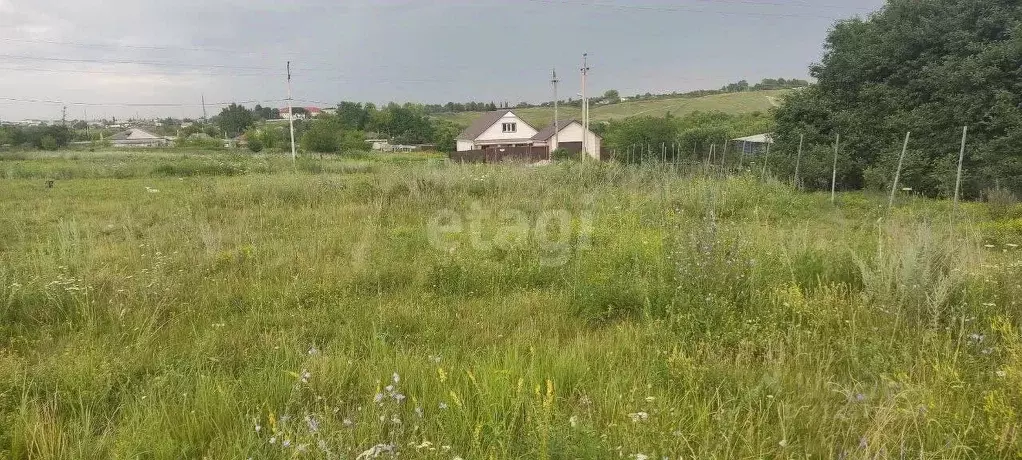 Участок в Белгородская область, Губкин ул. Корочанская (15.7 сот.) - Фото 0