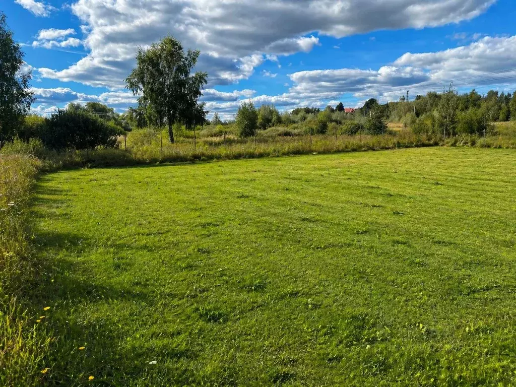 Участок в Московская область, Мытищи городской округ, д. Протасово ул. ... - Фото 2