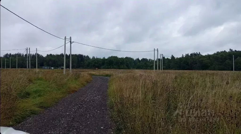 Участок в Ленинградская область, Сланцы ул. Кирова (12.0 сот.) - Фото 2