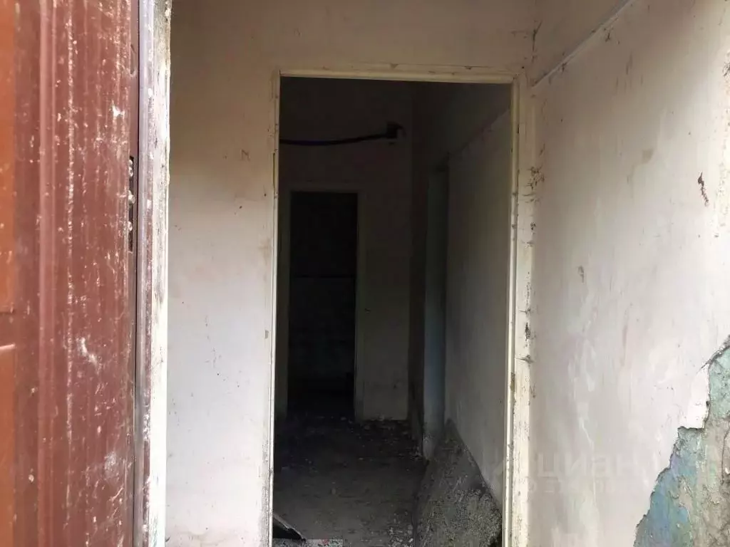 Помещение свободного назначения в Челябинская область, Чебаркуль ул. ... - Фото 1