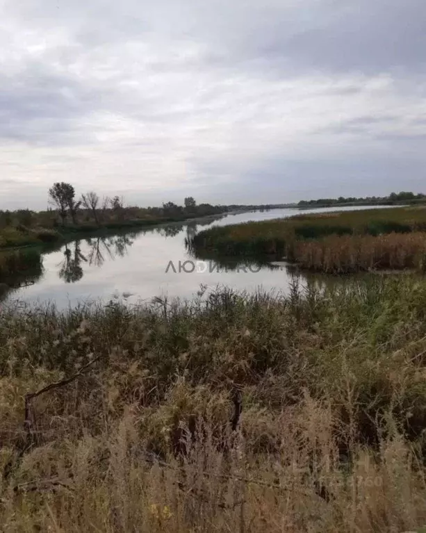 Участок в Саратовская область, Энгельсский район, Красноярское ... - Фото 1