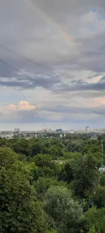 3-к кв. Нижегородская область, Нижний Новгород Трудовая ул., 8 (135.0 ... - Фото 0