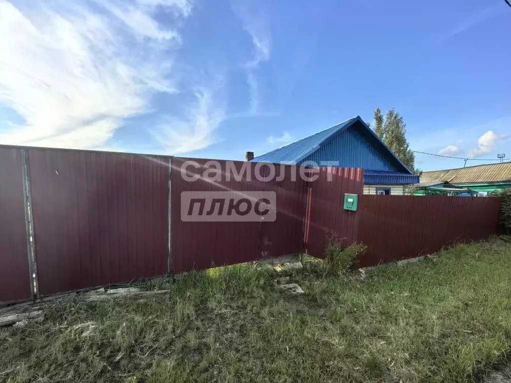Участок в Омская область, Омск Пикетная ул., 53 (4.7 сот.) - Фото 2
