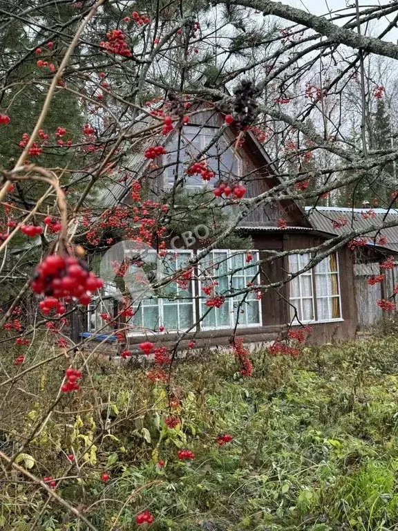 Дом в Пермский край, Пермский район, Эдем садовые участки 49 (30 м) - Фото 1