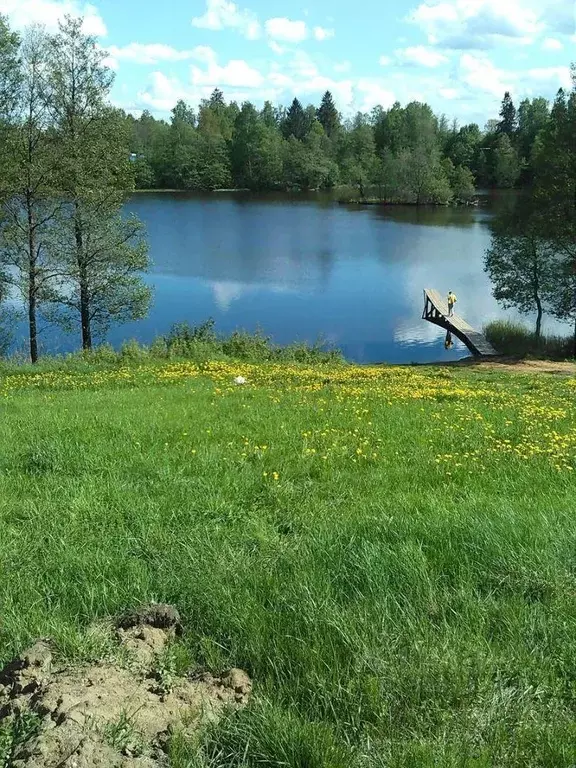 Участок, 12 сот., поселения (ижс) - Фото 1