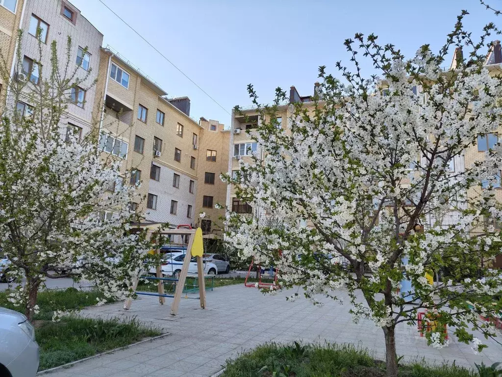 1-к кв. Калмыкия, Элиста ул. Герасименко, 5А (40.0 м) - Фото 0